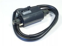 410915000 Tändspole (beg)